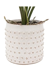 Gallery Home Pink Faux Orchid in Ceramic Dot Pot - Image 6 of 6