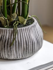Gallery Home Yellow Faux Orchid in Low Ceramic Pot - Image 3 of 6