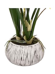 Gallery Home Yellow Faux Orchid in Low Ceramic Pot - Image 6 of 6