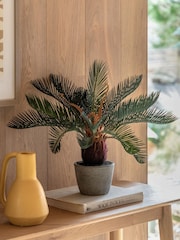 Gallery Home Natural Faux Wide Palm in Concrete Pot - Image 1 of 4