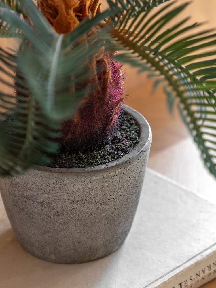Gallery Home Natural Faux Wide Palm in Concrete Pot - Image 2 of 4