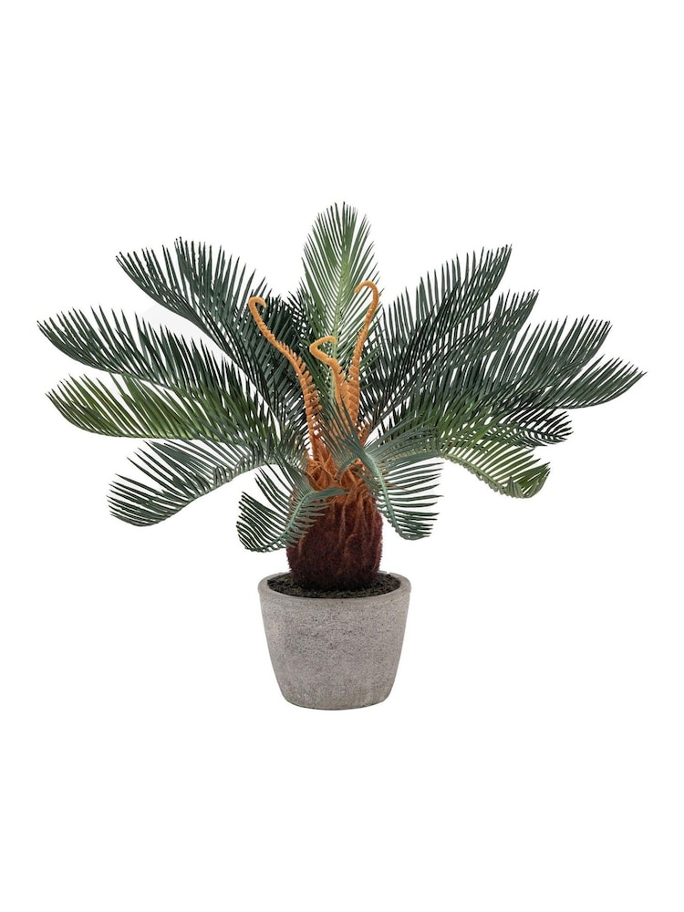 Gallery Home Natural Faux Wide Palm in Concrete Pot - Image 3 of 4