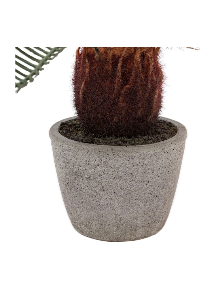 Gallery Home Natural Faux Wide Palm in Concrete Pot - Image 4 of 4