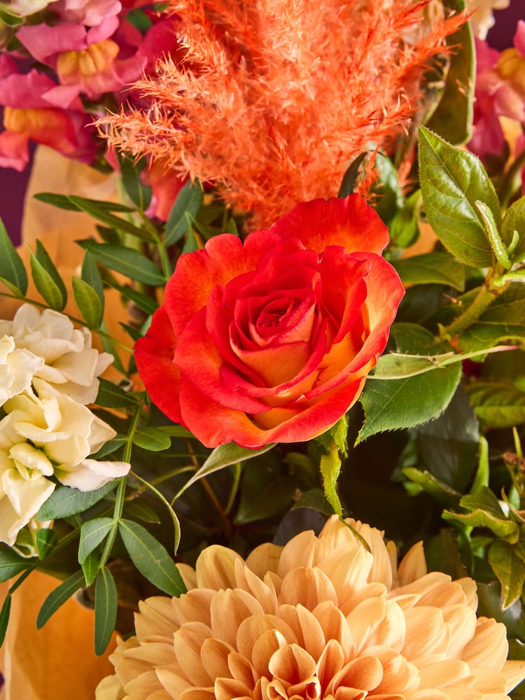 Orange Bloom Chrysanthemum and Rose Fresh Flower Bouquet In Gift Bag - Image 2 of 4 Orange Bloom Chrysanthemum and Rose Fresh Flower Bouquet In Gift Bag - Image 2 of 4