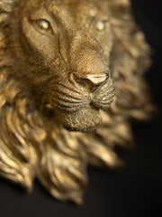 Rockett St George Gold Lion Wall Ornament - Image 4 of 6