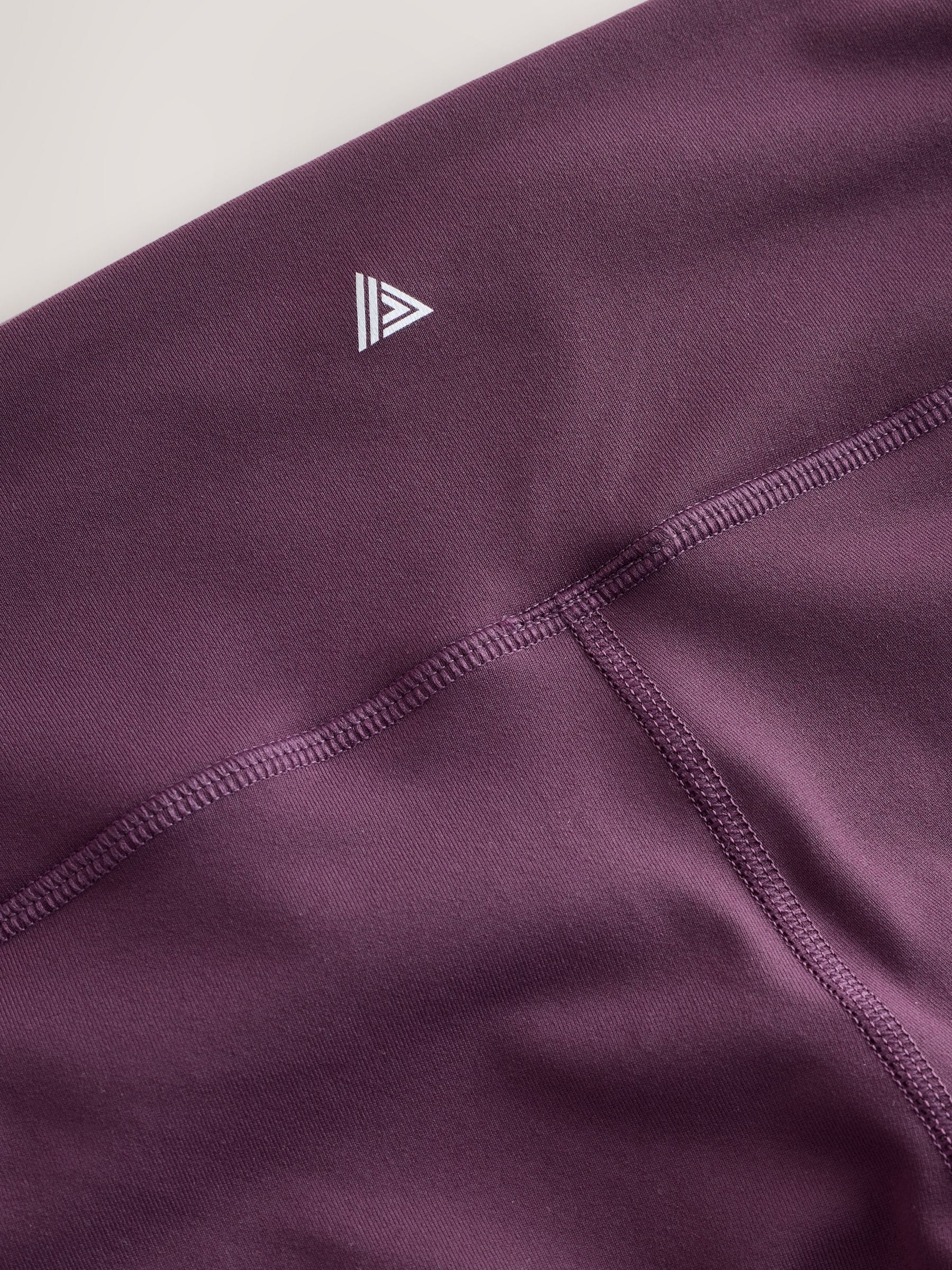 Buy Aubergine Active Sports Dry Tech Sculpting Leggings from Next USA