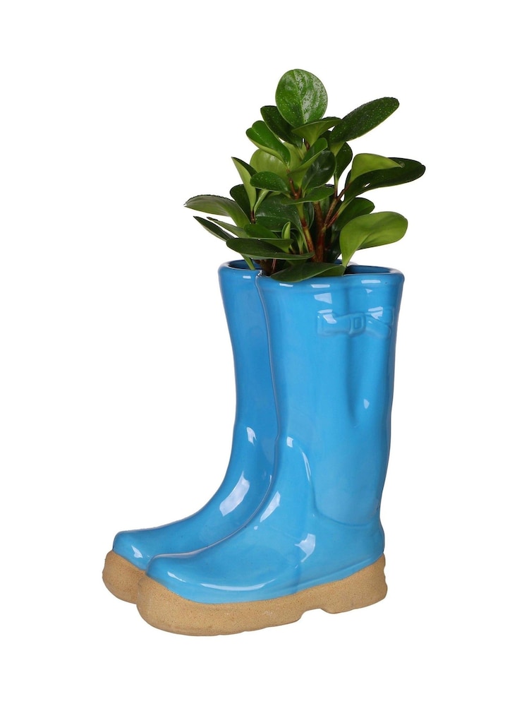 Dibor Blue Double Wellington Large Planter - Image 5 of 5 Dibor Blue Double Wellington Large Planter - Image 5 of 5
