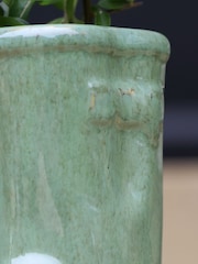 Dibor Green Calstock Double Wellington Small Planter - Image 4 of 5