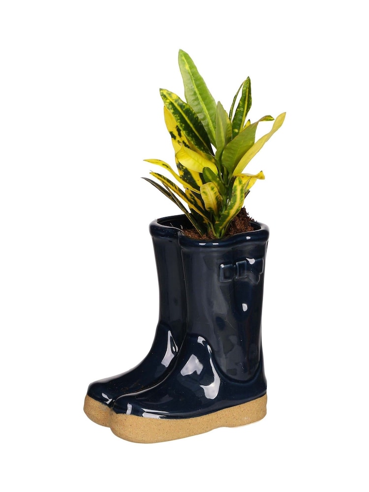 Dibor Blue Double Wellington Small Planter - Image 4 of 4