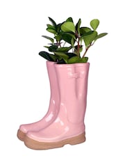 Dibor Pink Large Double Wellington Planter - Image 2 of 6