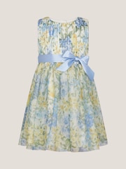 Monsoon Natural Baby Hydrangea Tulle Party Dress - Image 1 of 3