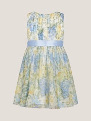 Monsoon Natural Baby Hydrangea Tulle Party Dress - Image 2 of 3