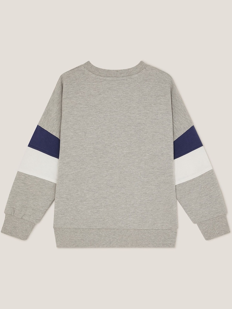 Monsoon Grey Tiger Varsity Sweatshirt - Image 3 of 4