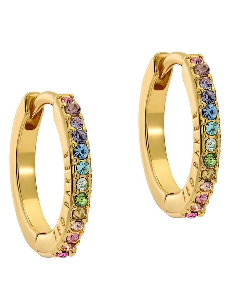 Ted Baker Gold tone Heplie: Crystal Hoop Earrings - Image 1 of 6