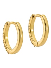 Ted Baker Gold tone Heplie: Crystal Hoop Earrings - Image 3 of 6