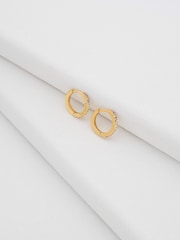 Ted Baker Gold tone Heplie: Crystal Hoop Earrings - Image 6 of 6