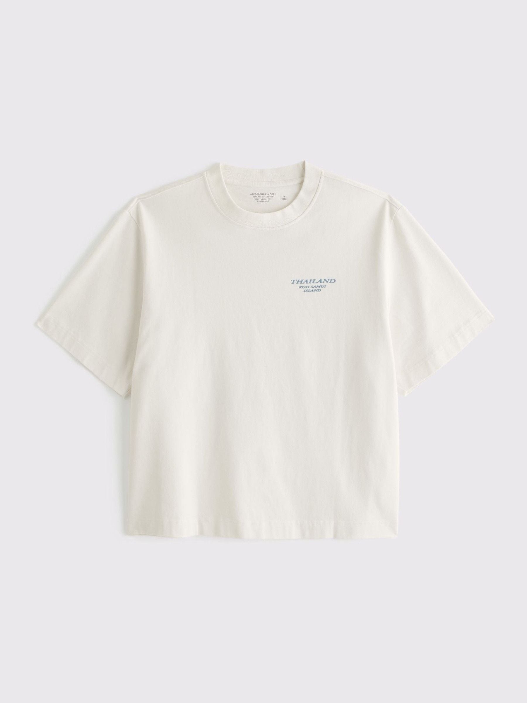Buy Abercrombie & Fitch Chalk White Back Print Short Sleeve T