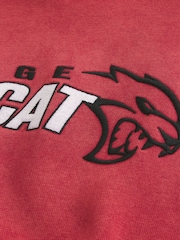 Hollister Graphic Hoodie - Image 5 of 5