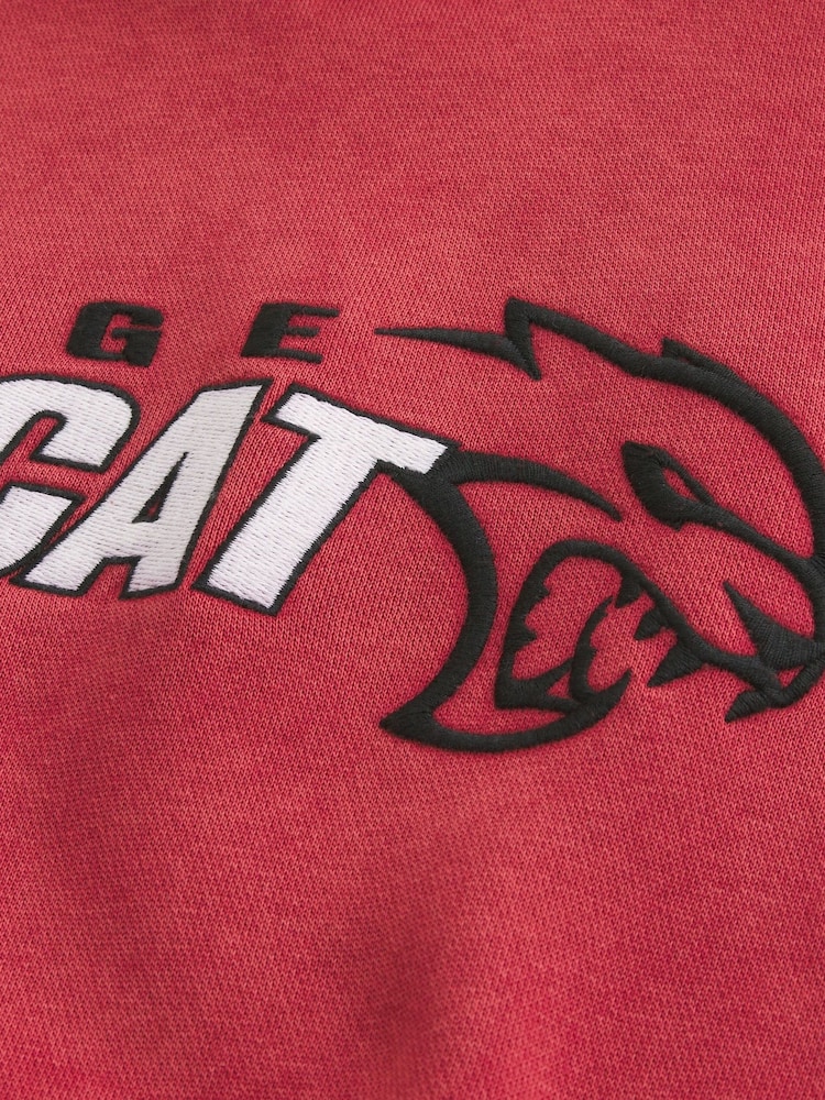 Hollister Graphic Hoodie - Image 5 of 5