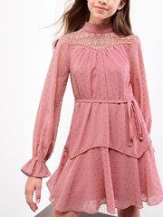 Lipsy Pink Long Sleeve Lace Yoke Dress (5-16yrs) - Image 3 of 4