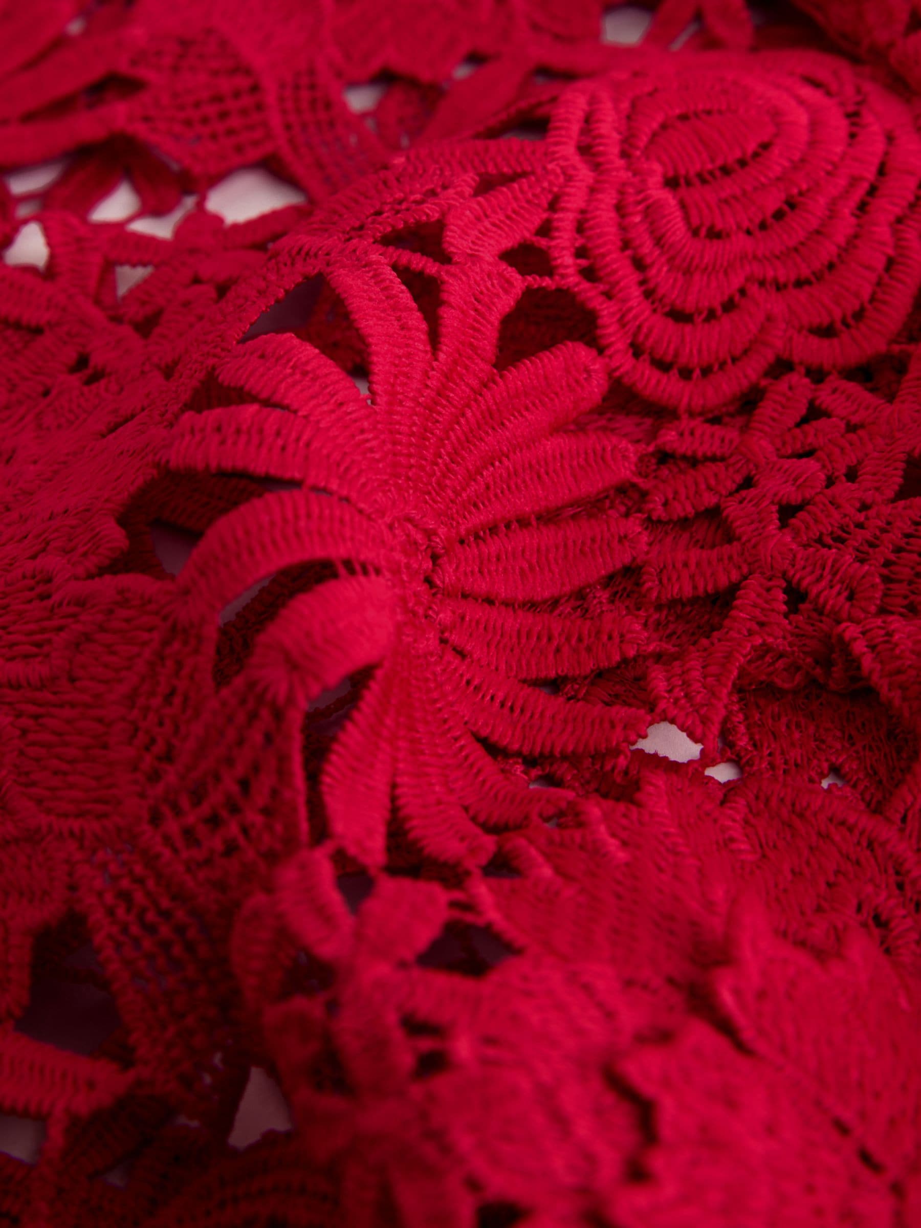 Buy Red Floral Lace Short Sleeve Top from Next USA