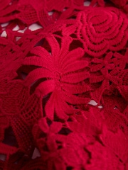 Roșu - Top cu mânecă scurtă din dantelă florală - Imaginea 8 din 8