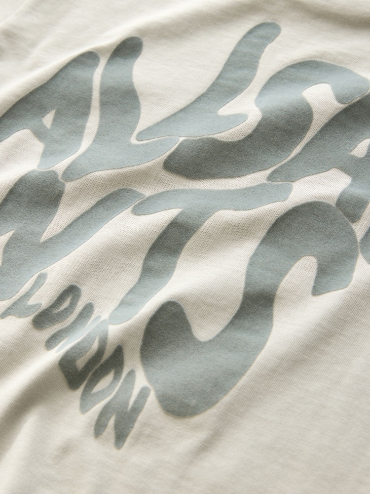 smALLSAINTS Grey/Flocked Oversized Orlando Logo Crew T-Shirt - Image 7 of 7 smALLSAINTS Grey/Flocked Oversized Orlando Logo Crew T-Shirt - Image 7 of 7