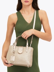 Carvela Maria Mini Stripe Bag - Image 1 of 5