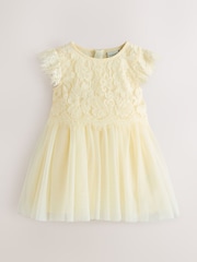 צהוב לימון - שמלת תחרה ורשת של Baker By Ted Baker - תמונה 7 מתוך 12