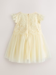 צהוב לימון - שמלת תחרה ורשת של Baker By Ted Baker - תמונה 8 מתוך 12