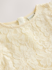 צהוב לימון - שמלת תחרה ורשת של Baker By Ted Baker - תמונה 9 מתוך 12