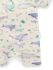 Purebaby Blue Turtle Print Short Sleeve 100% Cotton Sleepsuits 2 Pack - Image 5 of 5