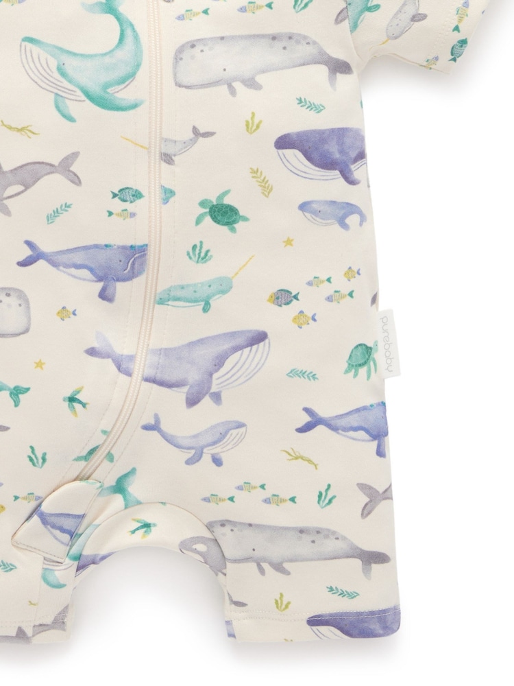 Purebaby Blue Turtle Print Short Sleeve 100% Cotton Sleepsuits 2 Pack - Image 5 of 5 Purebaby Blue Turtle Print Short Sleeve 100% Cotton Sleepsuits 2 Pack - Image 5 of 5