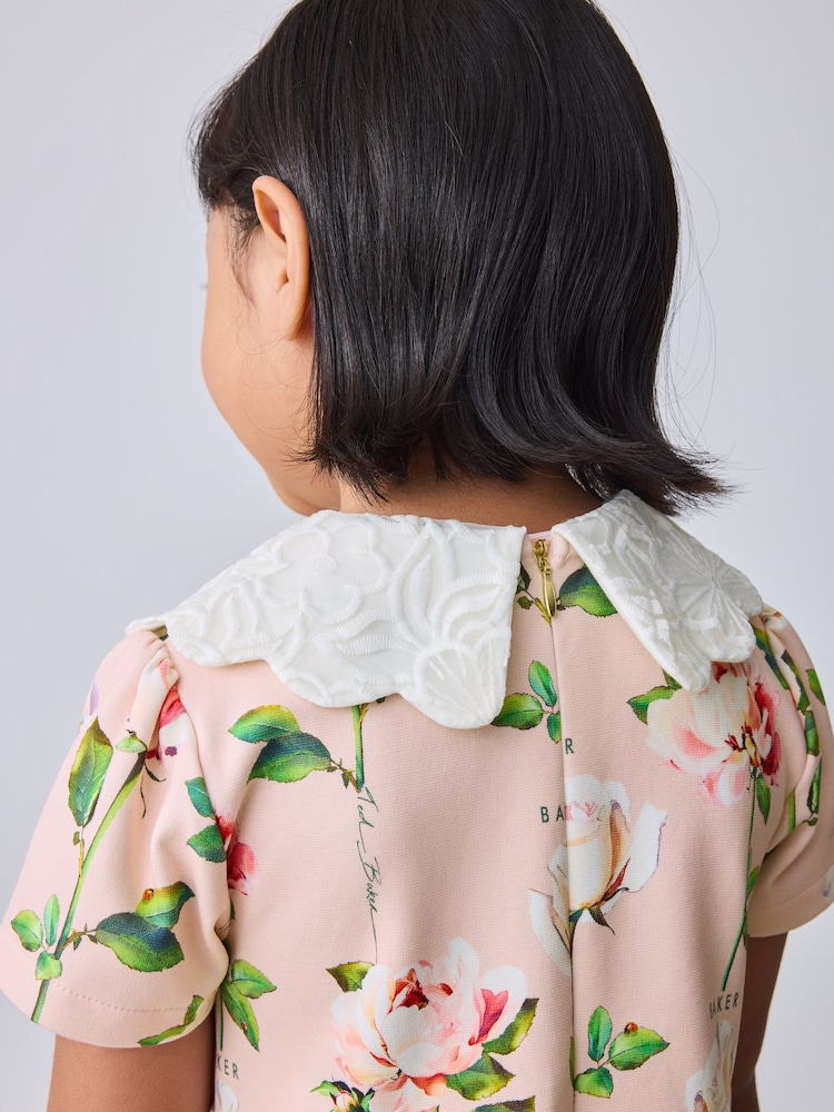 Buy Baker by Ted Baker Lace Collared Ponte Dress from Next USA
