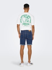 Only & Sons Blue Regular Fit Denim Shorts - Image 2 of 6