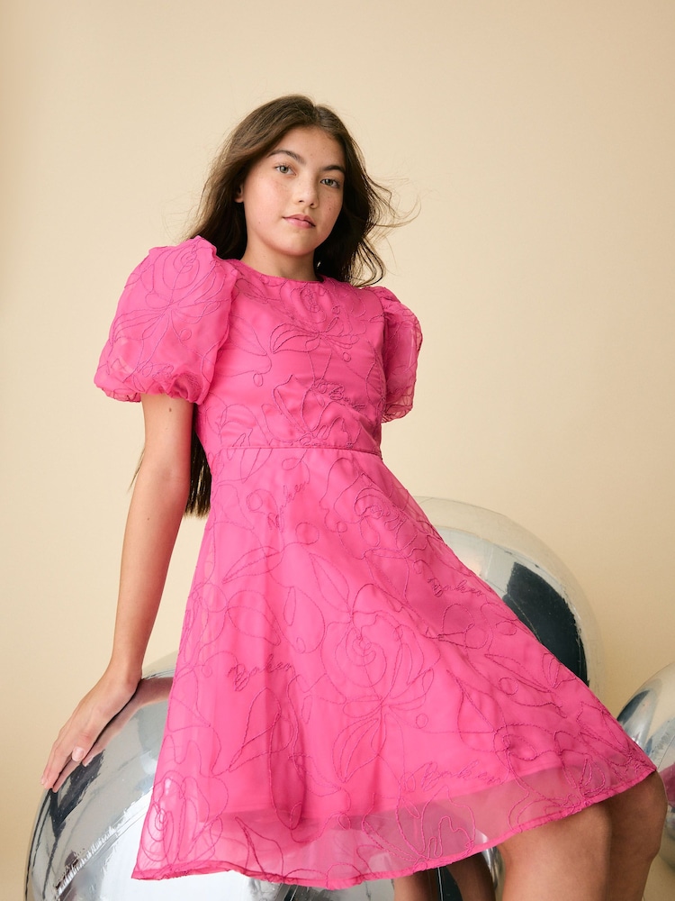 Buy Baker by Ted Baker Pink Organza Cord Puff Sleeve Occasion Dress &  Scrunchie Set from Next USA