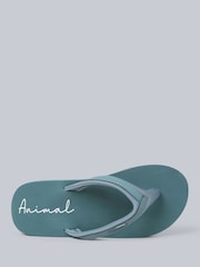 Animal Light Green Womens Swish Flip Flops - Image 2 of 5