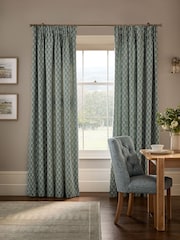 Collection Luxe Embroidered Leaves Pencil Pleat Lined Curtains - Bild 1 von 5