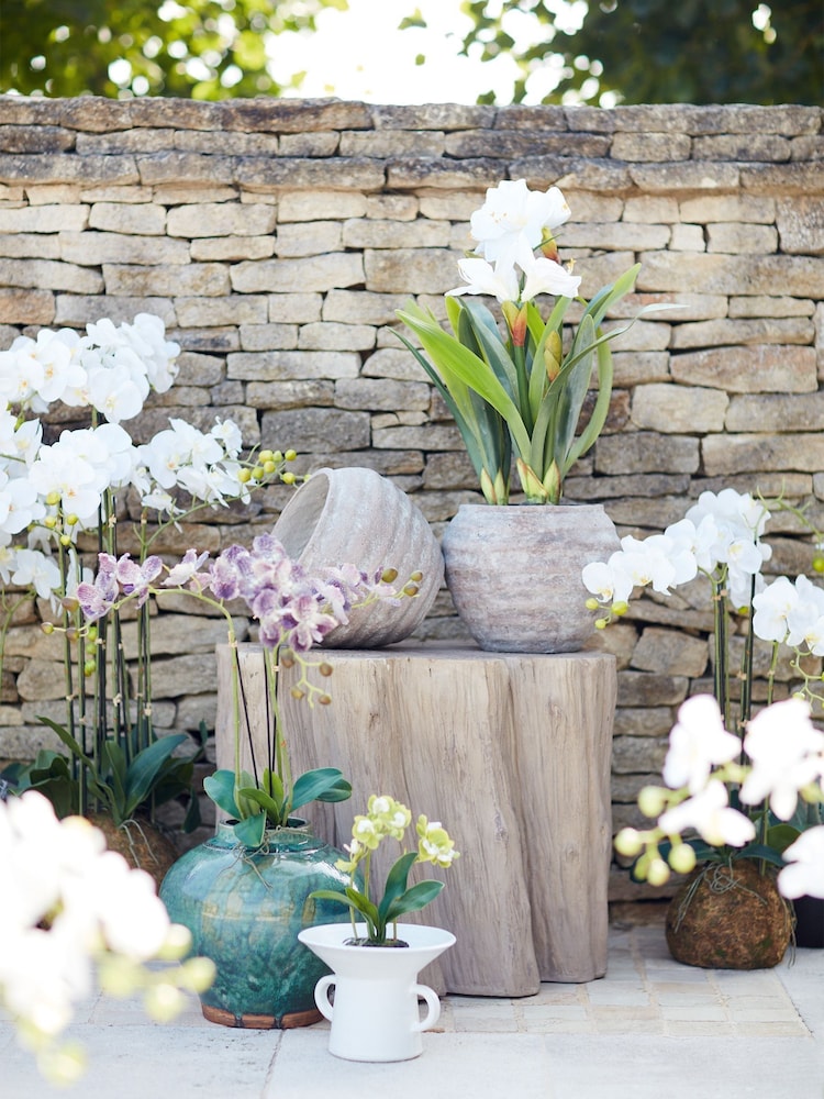 Oka White Large Faux Planted Phalaenopsis Orchid - Image 1 of 2 Oka White Large Faux Planted Phalaenopsis Orchid - Image 1 of 2