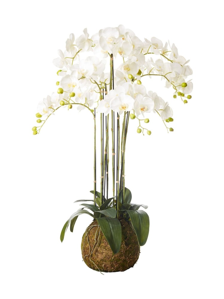 Oka White Large Faux Planted Phalaenopsis Orchid - Image 2 of 2 Oka White Large Faux Planted Phalaenopsis Orchid - Image 2 of 2