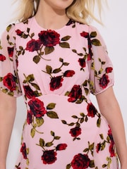 Joe Browns Pink Vintage Inspired Devore Rose Mini Dress - Image 3 of 7