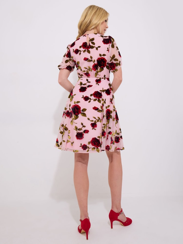 Buy Joe Browns Pink Vintage Inspired Devore Rose Mini Dress from Next USA