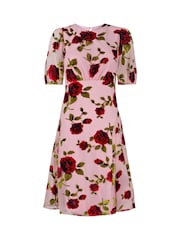 Joe Browns Pink Vintage Inspired Devore Rose Mini Dress - Image 7 of 7