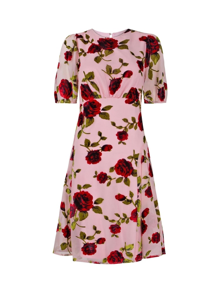 Joe Browns Pink Vintage Inspired Devore Rose Mini Dress - Image 7 of 7