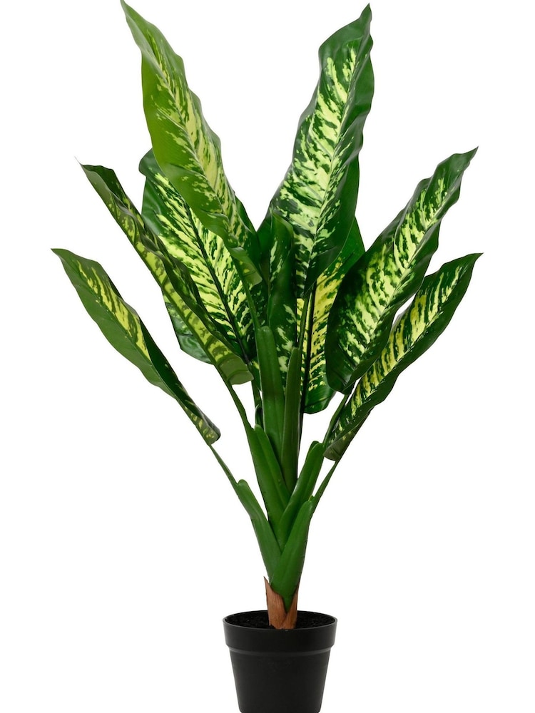 Decoris Artificial Diefenbachia Plant in Pot - Image 1 of 1 Decoris Artificial Diefenbachia Plant in Pot - Image 1 of 1