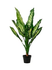 Decoris Artificial Diefenbachia Plant in Pot - Image 1 of 1