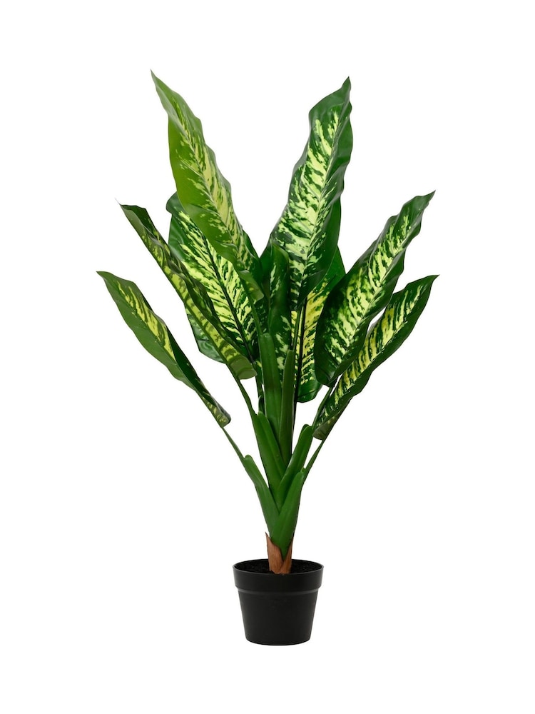 Decoris Artificial Diefenbachia Plant in Pot - Image 1 of 1