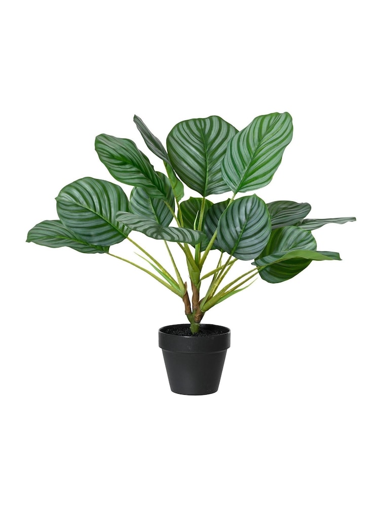 Decoris Artificial Plant in Pot - Image 2 of 2 Decoris Artificial Plant in Pot - Image 2 of 2
