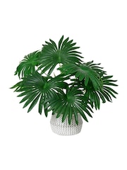 Decoris Artificial Palm Plant in Pot - Image 1 of 1