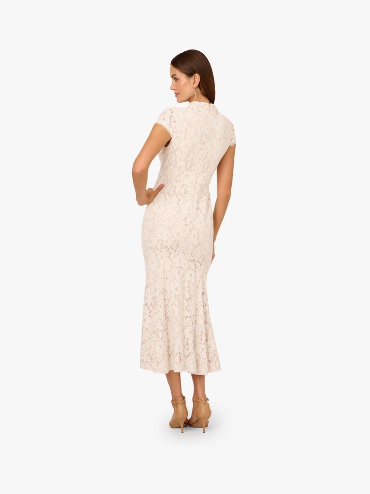 Buy Adrianna Papell White Ankle Length Lace Dress from Next USA Buy Adrianna Papell White Ankle Length Lace Dress from Next USA